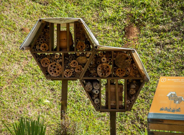  Hotel de abejas ©GIZ
