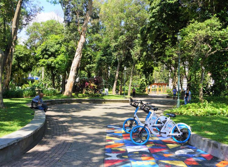 Parque Urbano en San José